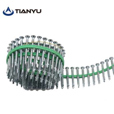 High quality  M5x55 Auto Feed  Stainless Steel Flat-Head Square collated galvanised Coil deck screws